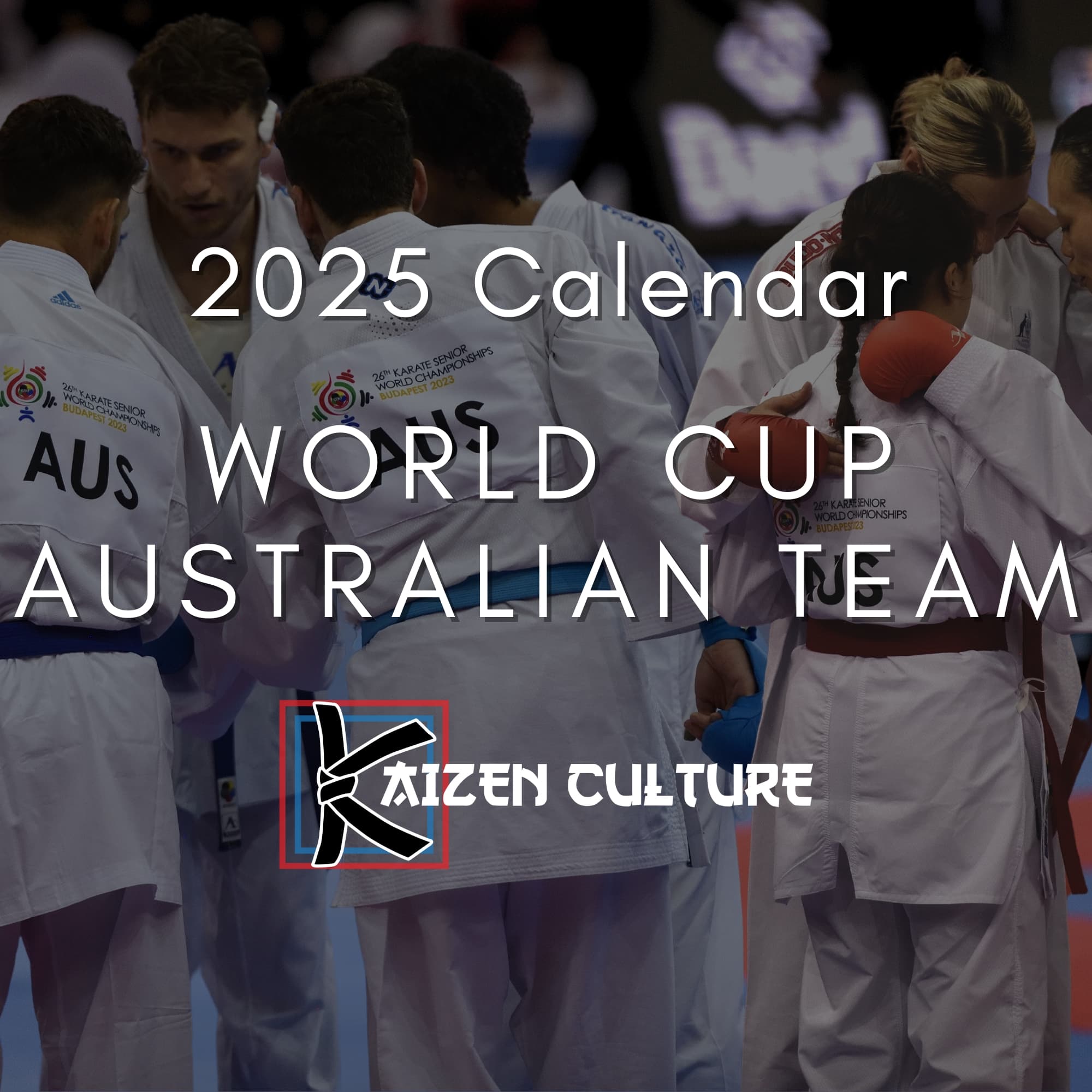 2025 Wall Calendar